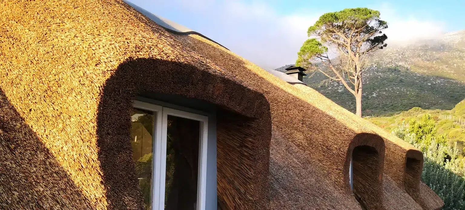 Close-up of a well-compacted Cape Dekriet thatch roof with rounded dormers and clean eave lines, Western Cape