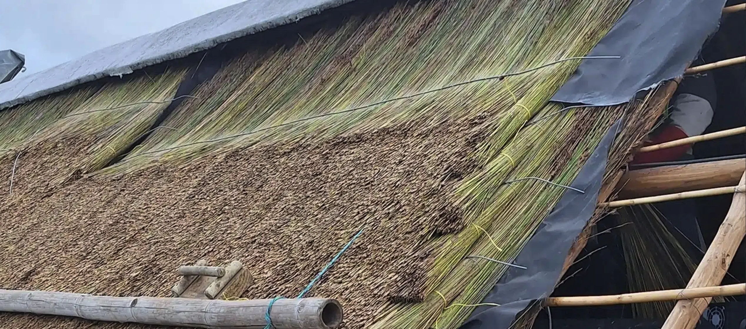 Thatch roof under construction with reed layers wired to battens, ready for fire retardant treatment